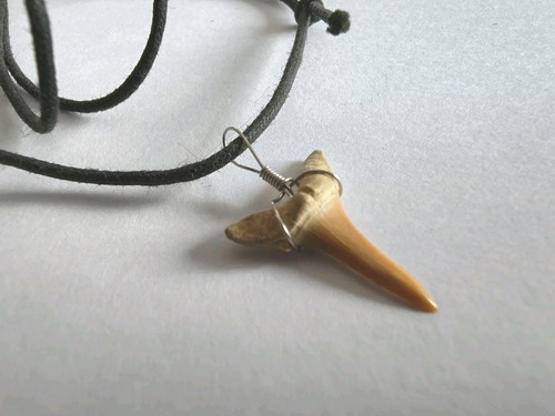 Vintage anhänger fossiler - anhänger,