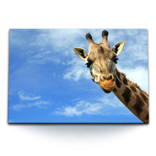 120x80cm wandbild auf leinwand - 120x80cm,