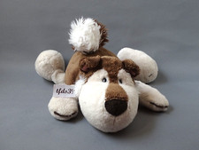 Nici husky jill liegend - nici, hund