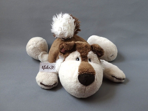 Nici husky jill - jill, hund