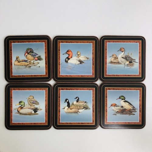Pimpernel wild ducks - wild,