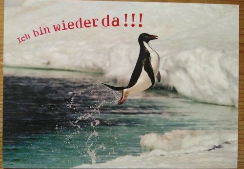 Ich bin wieder pinguin - "ich,