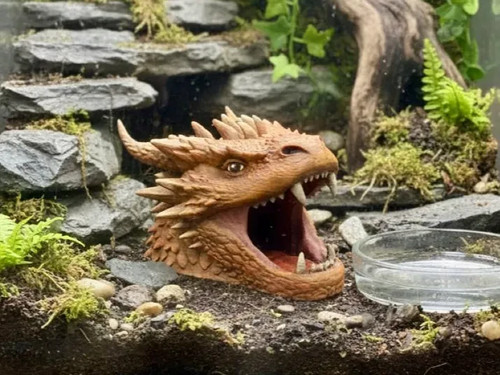 Drachenkopf schädel eko - eko, |