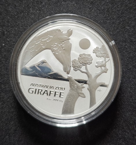 Australien zoo giraffe 2024 - giraffe,