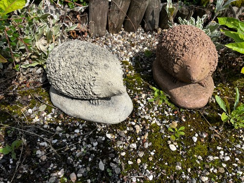Igel klein tier - tier, figur