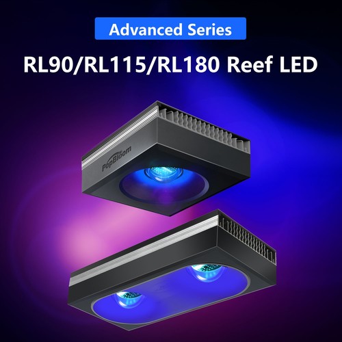 Popbloom rl90 rl115 rl180 - popbloom,