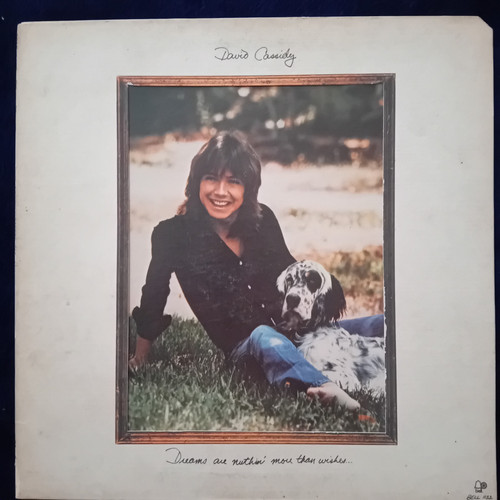 David cassidy dreams are - david,