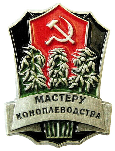 Marihuana cannabis farmer - marihuana,