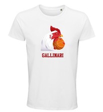 Gallinari T-Shirt, 8, Retreat