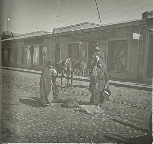 Südamerika reise c1905 foto - südamerika,