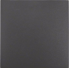 Berker 16201606 Wippe für