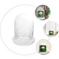 Glas Terra-Dome Cloche