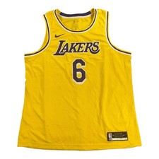 Los Angeles Lakers LeBron