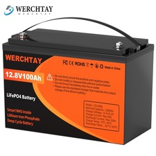 12V 100AH LiFePO4 Lithium Batterie Mit 100A BMS Akku für Wohnmobil Boote Solar
