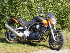 RD-Moto Sturzbügel für