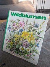 Wildblumen - DDR Kinderbuch zum Beschäftigen und Bestimmen von Pflanzen