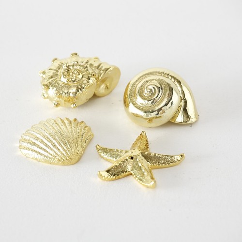 Meerestiere schnecke muschel - meerestiere,