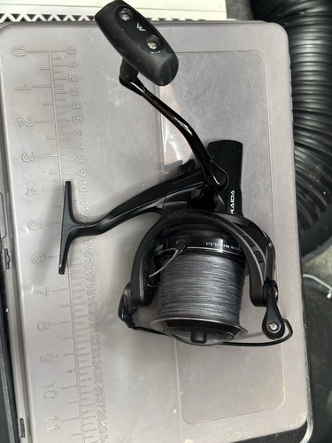 Carp fishing reel - carp,
