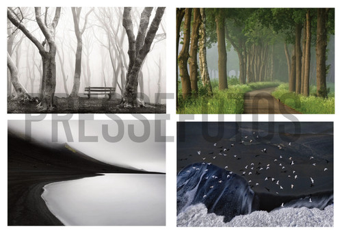 Hasselblad masters - hasselblad,