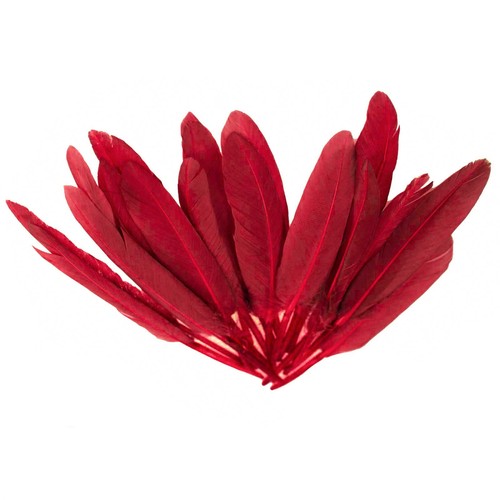 Entenfedern 14 cm - 20, 9-14