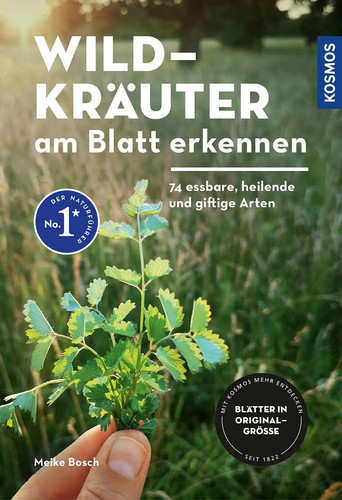 Wildkräuter blatt erkennen - wildkräuter, am