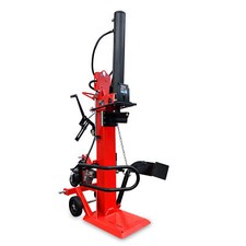 Holzspalter 30 Tonnen stehend