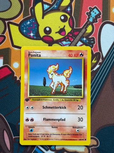 Ponita edition 102 base - ponita, 1.