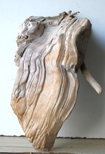 Treibholz Schwemmholz