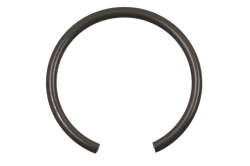 Sicherungsring zur