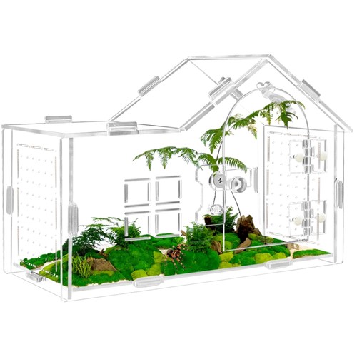 Acryl terrarium springende - acryl,