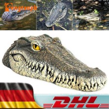 Schwimmender Krokodilkopf