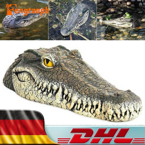 Schwimmender krokodilkopf - schwimmender,