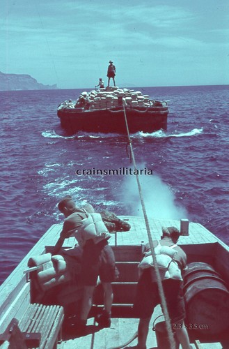 Orig farbdia foto rad - farbdia,