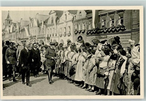 10321880 domazlice politik - 10321880,