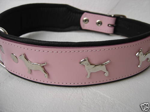 Bullterrier hundehalsband - hundehalsband,