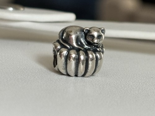 Retired pandora cozy cat charm - cozy,