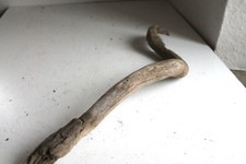 Schwemmholz Treibholz