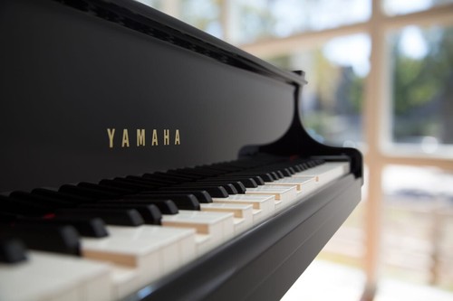 Yamaha pianodisc pianosoft - yamaha,,