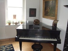 Schwarzer Blüthner Flügel