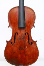 Schöne Löwenkopf Geige