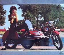 Altes Reklame Blechschild