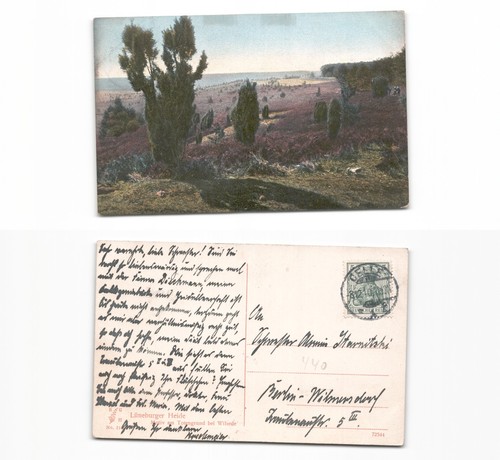 Heide nachlass - (a6833440),