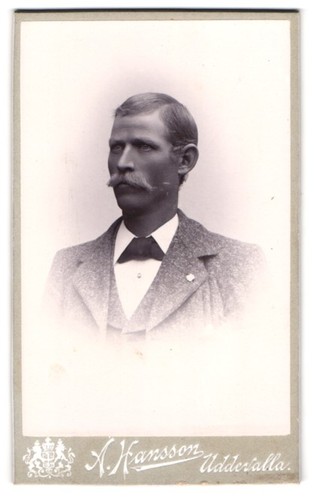 Fotografie hansson - fotografie,