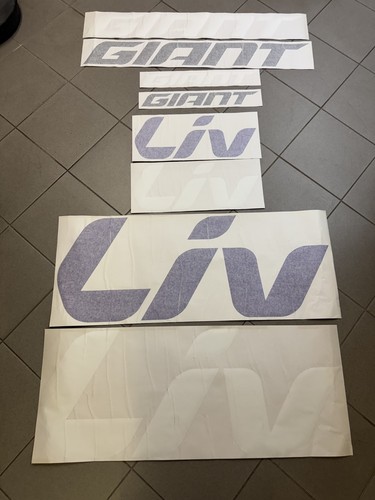 Giant liv aufkleber sticker - giant,