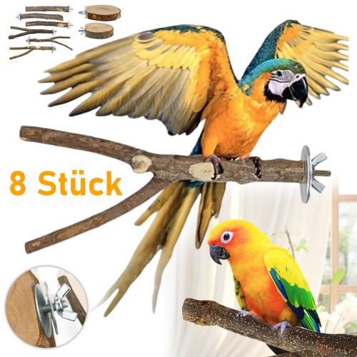 Vogelspielzeug