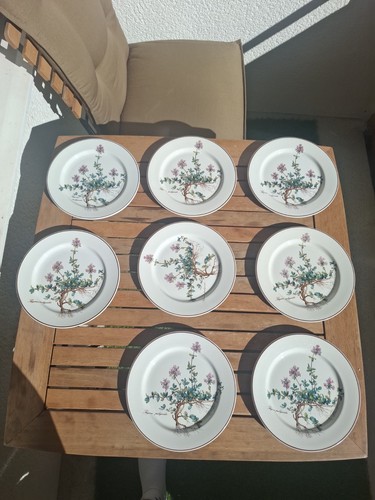 Villeroy boch botanica - villeroy,