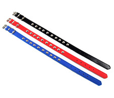 Hundehalsband mit  Nieten