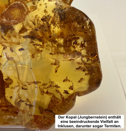 Beeindruckender junger - beeindruckender,