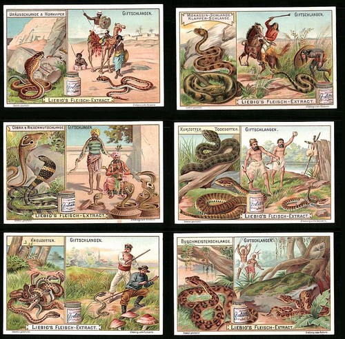 Sammelbilder liebig serie - 6,