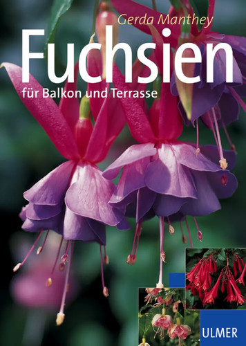 Fuchsien für balkon - für,